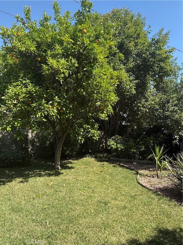 view of yard