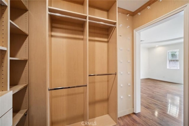 walk in closet featuring wood finished floors