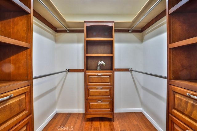walk in closet featuring dark wood-type flooring