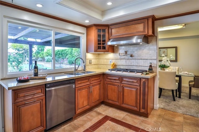 kitchen featuring exhaust hood, crown molding, appliances with stainless steel finishes, a sink, and a healthy amount of sunlight