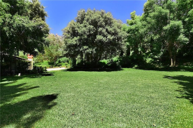 1525 Bonnie Jean Ln, La Habra Heights, CA 90631 - photo 46