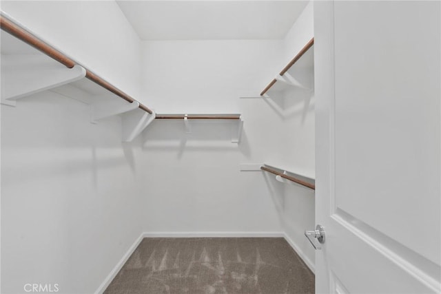 676 E Desert Willow Rd, Azusa, CA 91702 - walk in closet featuring carpet floors