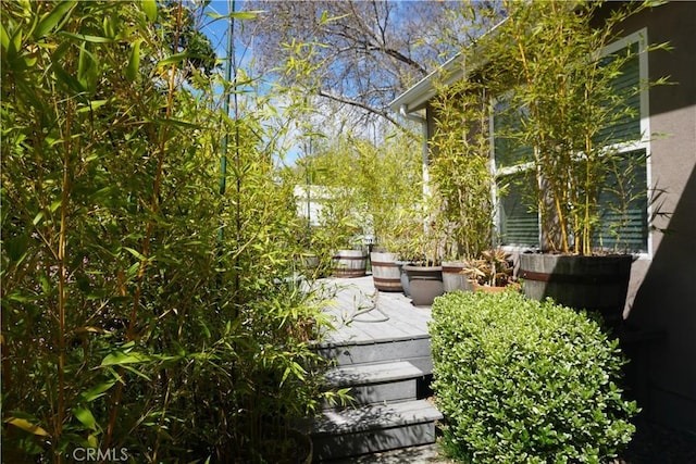 8055 Portola Rd Unit A, Atascadero, CA 93422 - view of yard
