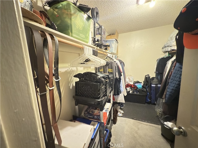 3702 W 126th St, Hawthorne, CA 90250 - spacious closet featuring carpet floors