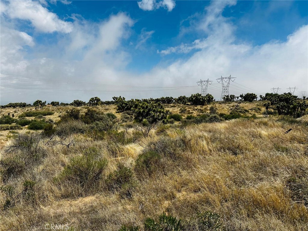 0 Tumbleweed Rd, Phelan, CA 92371 - photo 2