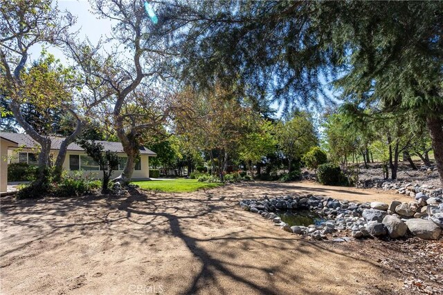 3192 Lytle Creek Rd, Lytle Creek, CA 92358 - view of yard