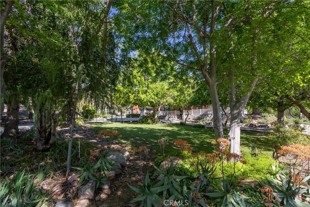 3192 Lytle Creek Rd, Lytle Creek, CA 92358 - view of green lawn