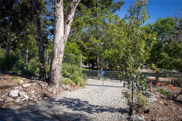 3192 Lytle Creek Rd, Lytle Creek, CA 92358 - view of yard with a gate