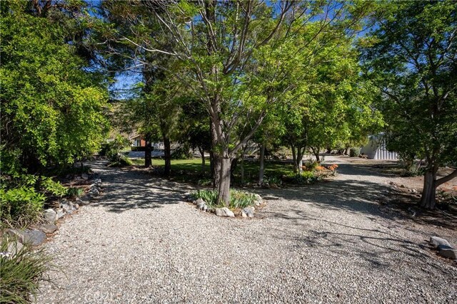 3192 Lytle Creek Rd, Lytle Creek, CA 92358 - view of dirt / gravel road