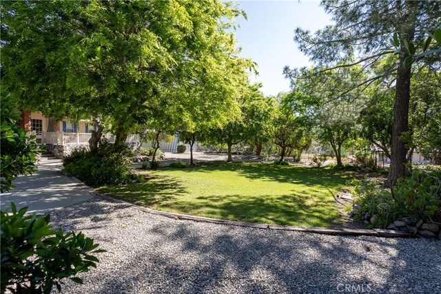 3192 Lytle Creek Rd, Lytle Creek, CA 92358 - view of property's community with a lawn