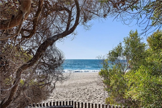 water view with a view of the beach