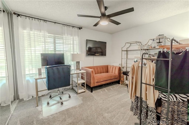 bedroom with a ceiling fan, carpet flooring, and a textured ceiling