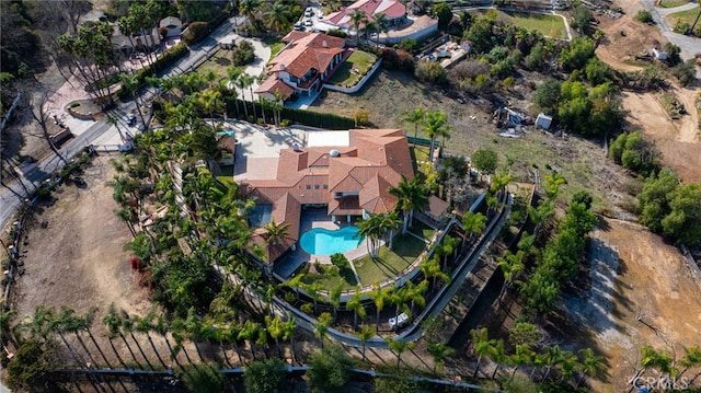 drone / aerial view