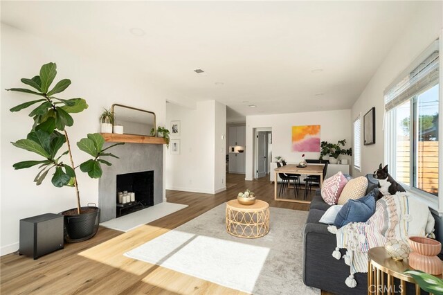 living room featuring a fireplace, wood finished floors, and baseboards