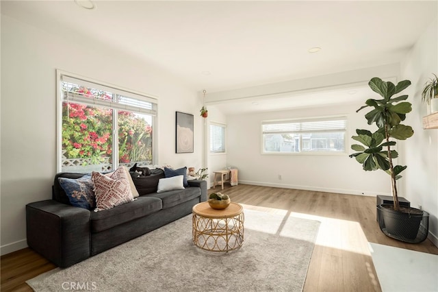 living area with baseboards and wood finished floors