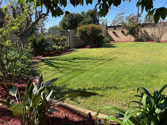 16591 Busby Ln, Huntington Beach, CA 92647 - view of yard