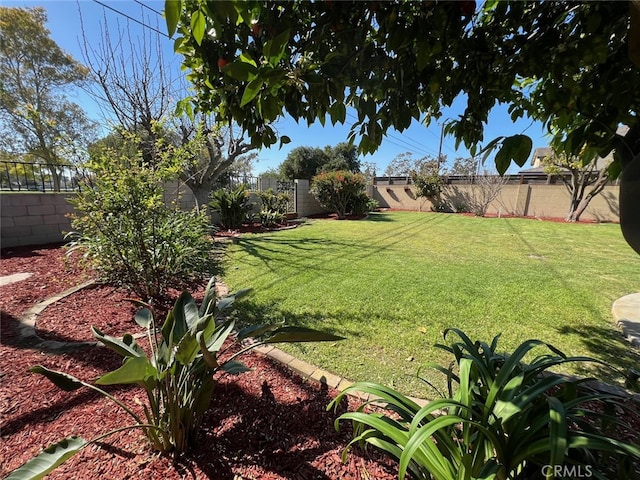 16591 Busby Ln, Huntington Beach, CA 92647 - view of yard