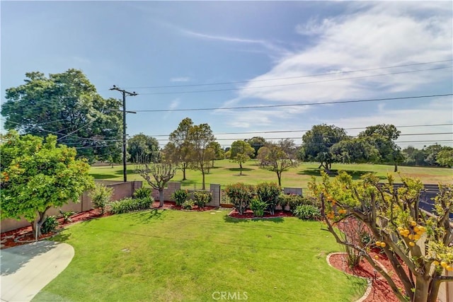16591 Busby Ln, Huntington Beach, CA 92647 - view of yard