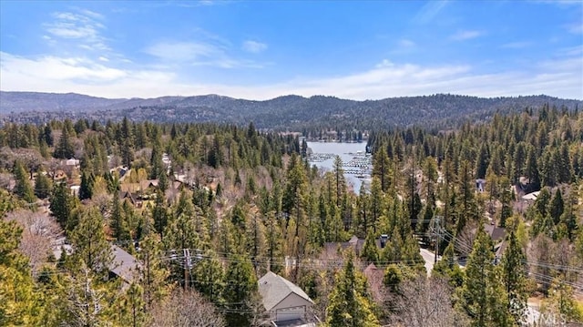 27488 N Bay Rd, Lake Arrowhead, CA 92352