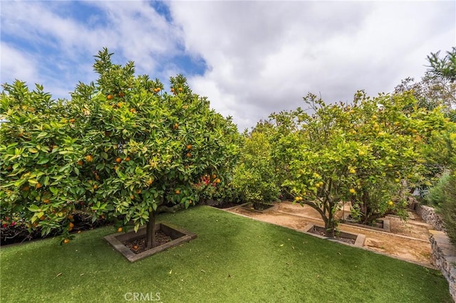23 Country Meadow Rd, Rolling Hills Estates, CA 90274 - photo 42