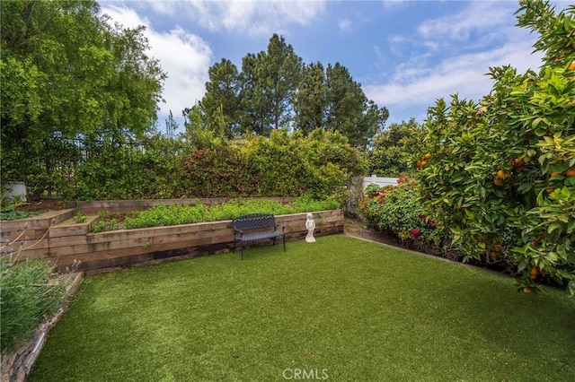 view of yard with fence