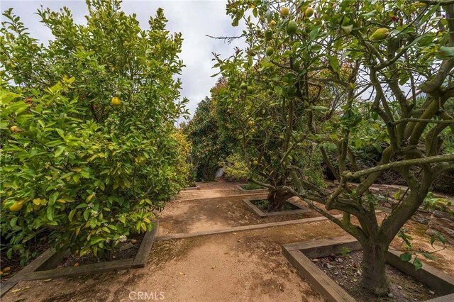 23 Country Meadow Rd, Rolling Hills Estates, CA 90274 - photo 45