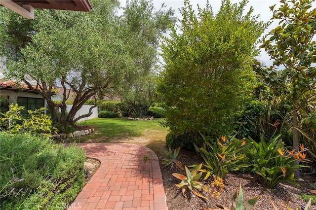 view of yard featuring a patio