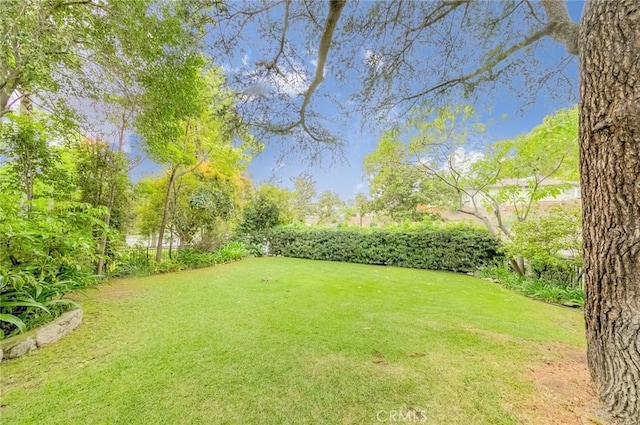 view of yard