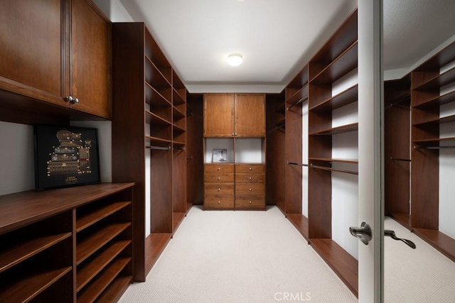 4505 Cresta Babia, San Clemente, CA 92673 - walk in closet featuring carpet floors