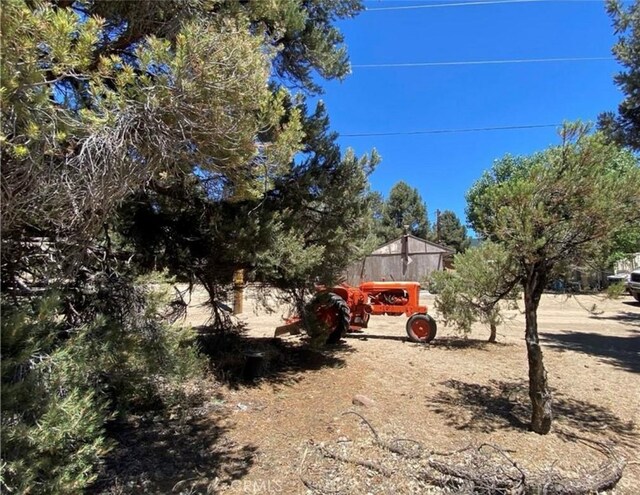 32647 Holly Trl, Frazier Park, CA 93225 - view of yard