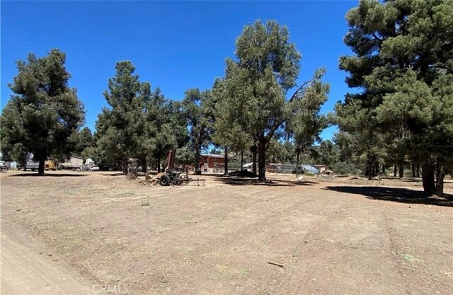 32647 Holly Trl, Frazier Park, CA 93225 - view of yard