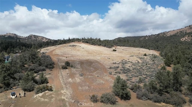 32647 Holly Trl, Frazier Park, CA 93225 - mountain view