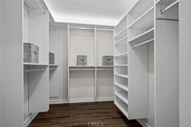 2357 Palos Verdes Dr W Unit 3, Palos Verdes Estates, CA 90274 - walk in closet featuring wood finished floors