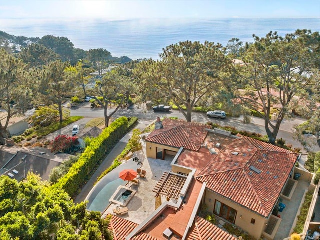 271 Ocean View Ave, Del Mar, CA 92014 - photo 4