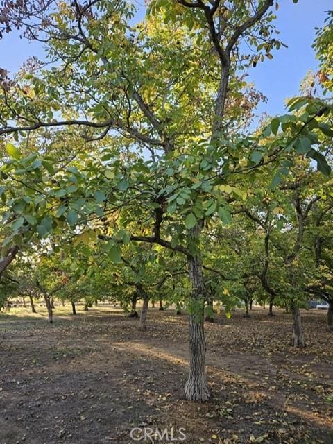 25205 5th Ave, Los Molinos, CA 96055 - photo 36