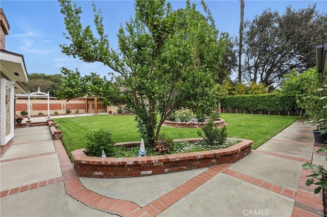 view of yard featuring a patio area and a fenced backyard