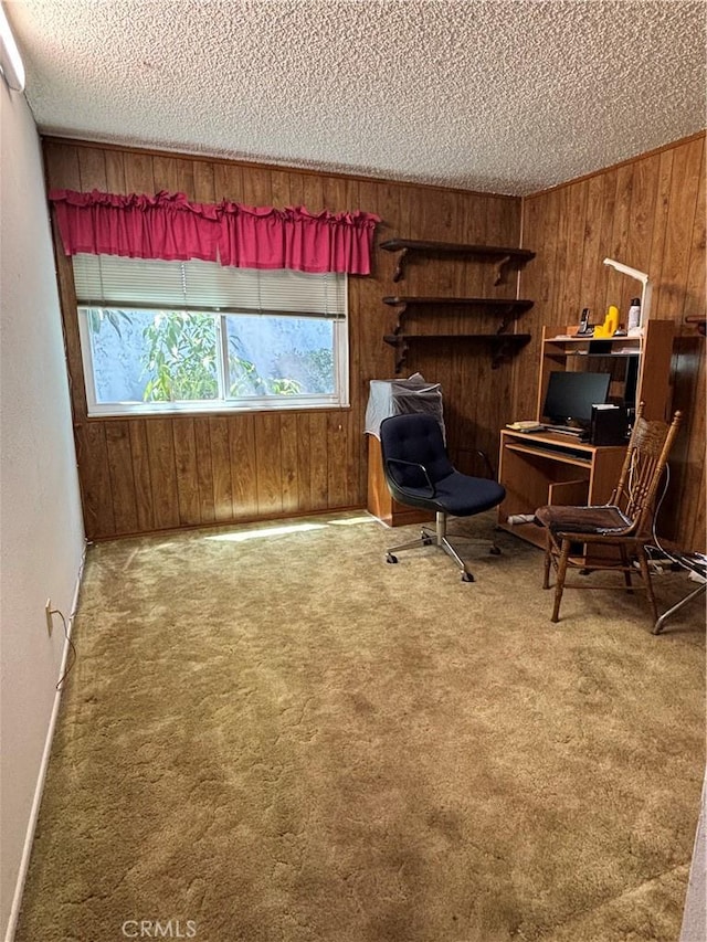 1193 W Molly Ct, Upland, CA 91786 - sitting room with wood walls, a textured ceiling, carpet floors, and plenty of natural light