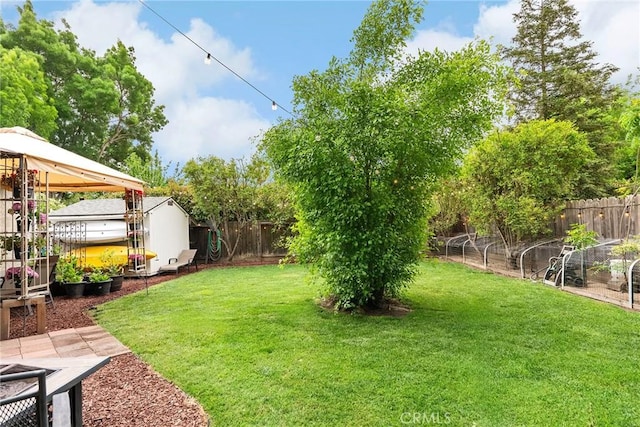 226 Stony Creek Dr, Orland, CA 95963 - view of yard with a fenced backyard, a storage unit, an outdoor structure, and a gazebo
