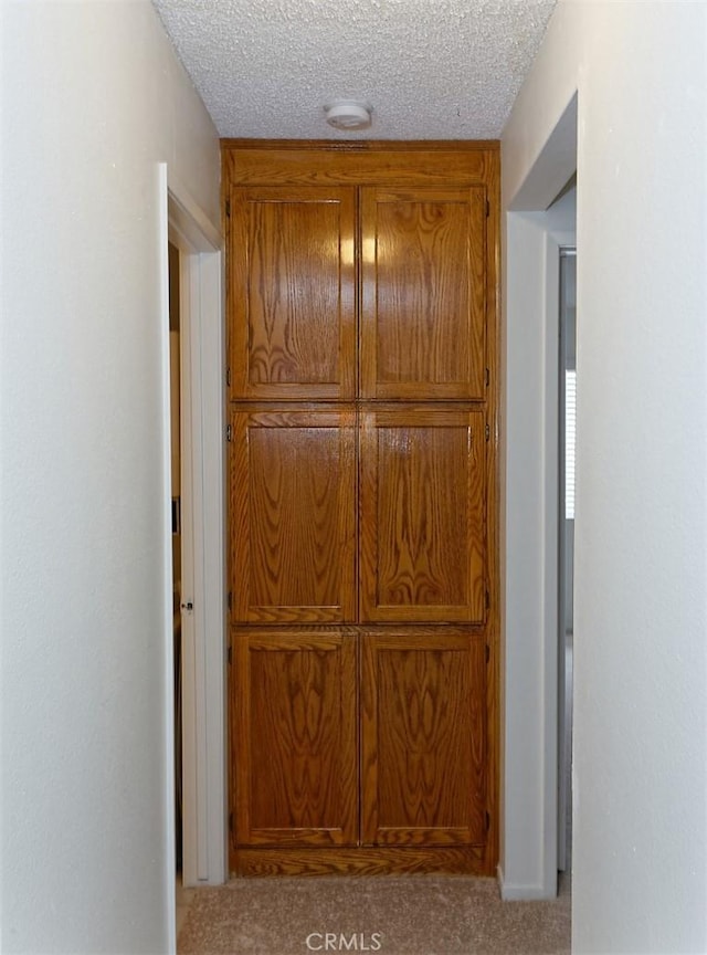 interior details with carpet floors and a textured ceiling