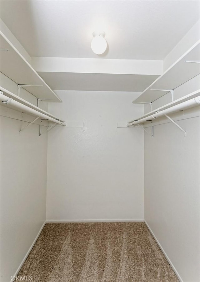 walk in closet with carpet