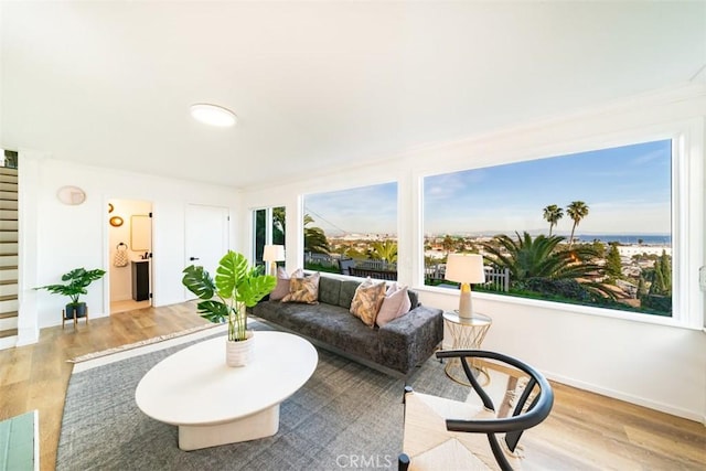 living area featuring baseboards and wood finished floors