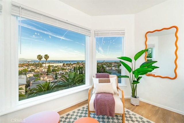 living area featuring baseboards, wood finished floors, and a water view