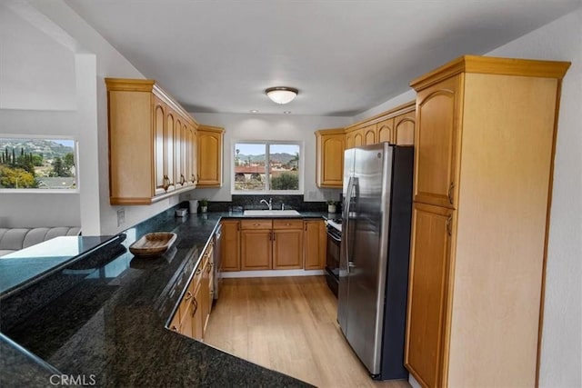 310 N Jackson St Unit 330, Glendale, CA 91206 - kitchen with light wood-type flooring, stainless steel appliances, a sink, and plenty of natural light