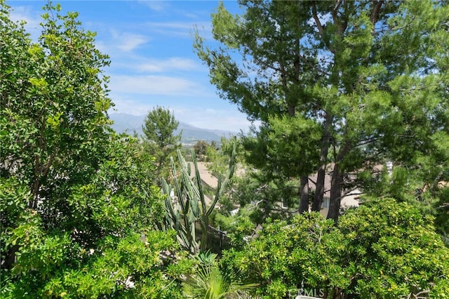 20904 Parkside, Lake Forest, CA 92630 - view of local wilderness with mountains