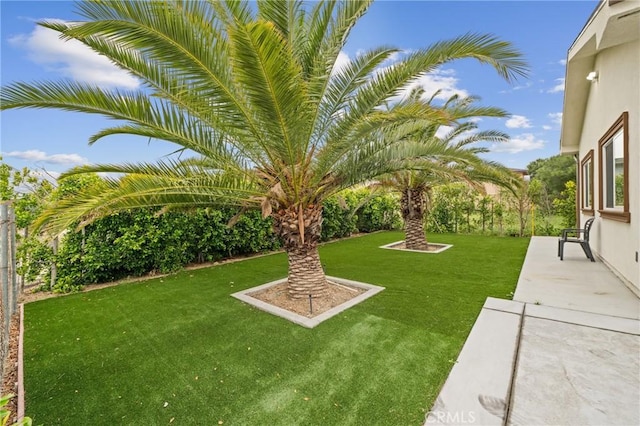 9614 Cypress Ave, Fontana, CA 92335 - view of grassy yard