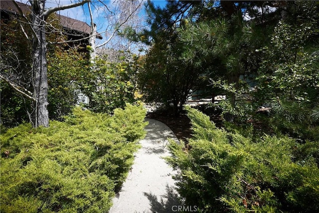 1612 Linden Dr, Pine Mountain Club, CA 93222 - view of nature