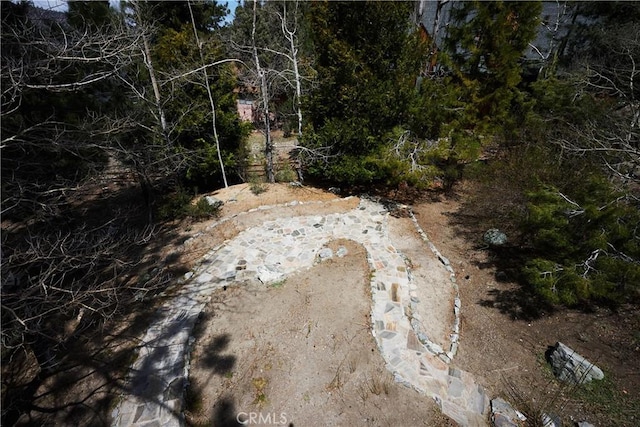 1612 Linden Dr, Pine Mountain Club, CA 93222 - view of yard