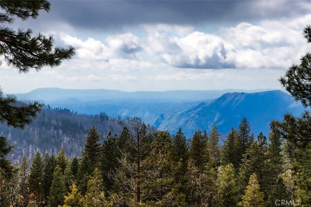mountain view with a wooded view