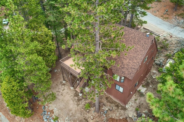 bird's eye view