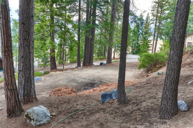 75017503 Yosemite Park Way, Yosemite, CA 95389 - photo 46